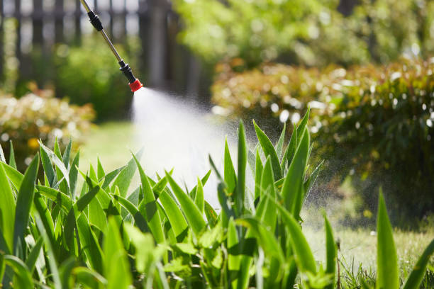Tamper-Resistant Bait Stations for Rodents in Brielle