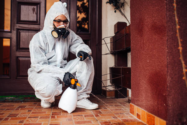 Attic and Crawl Space Rodent Treatment in Brielle