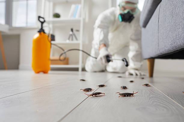 Commercial Rodent Management in Brielle